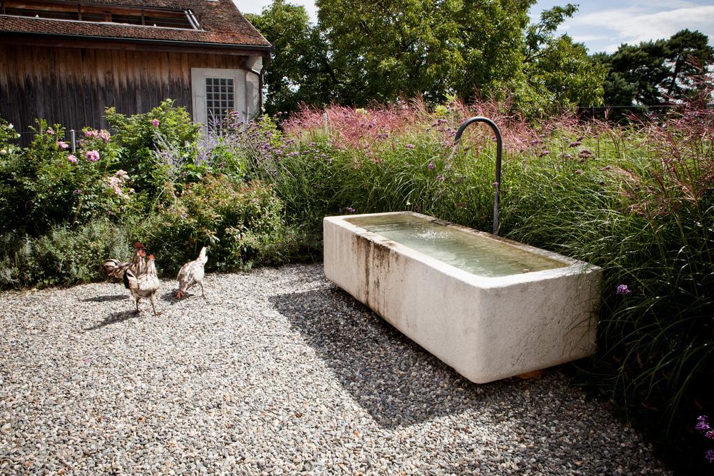 Saint-Livres Le Coq Chantant Studios D'Hotes & Boutique Hotel St-Livres מראה חיצוני תמונה