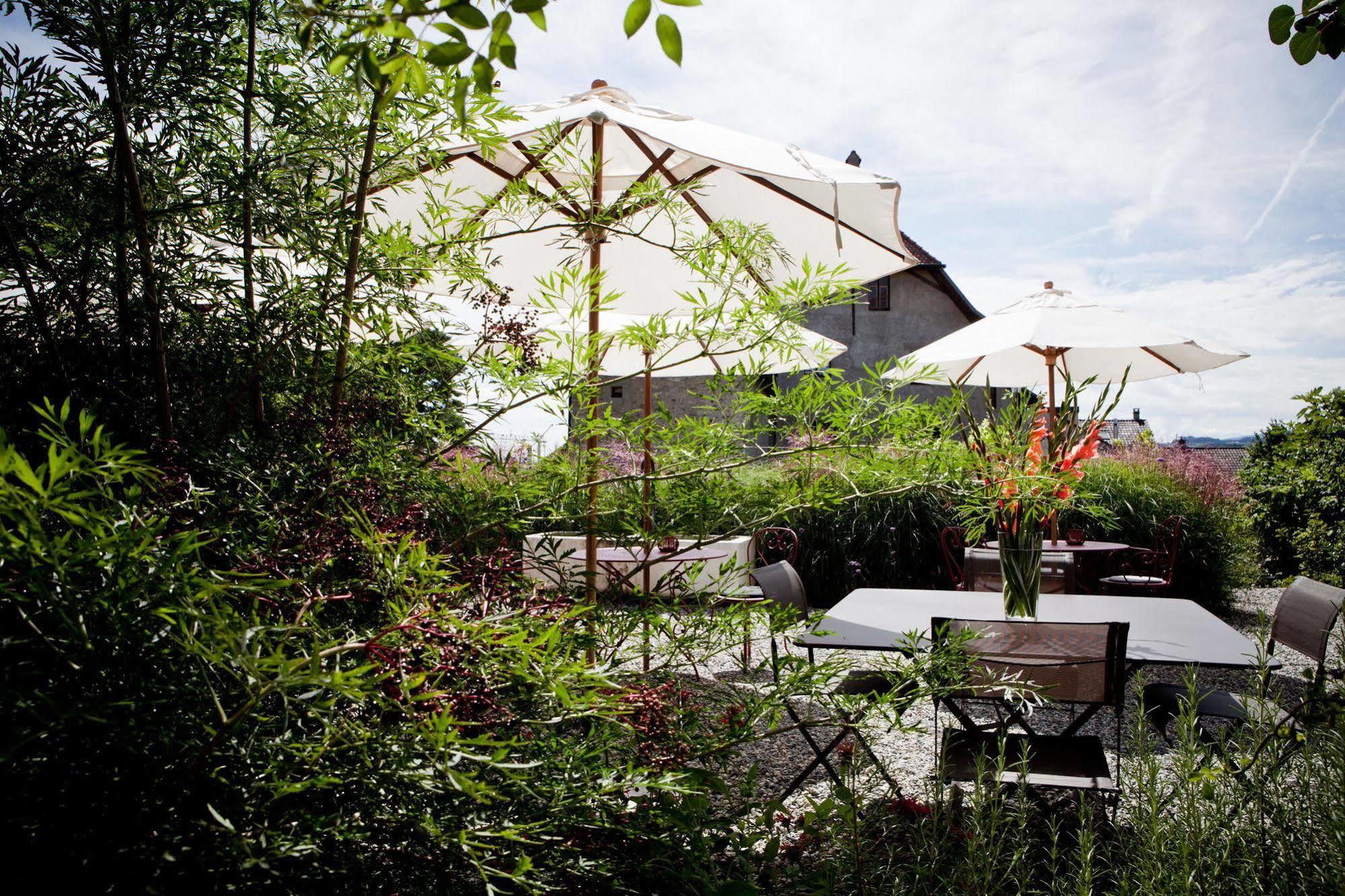 Saint-Livres Le Coq Chantant Studios D'Hotes & Boutique Hotel St-Livres מראה חיצוני תמונה